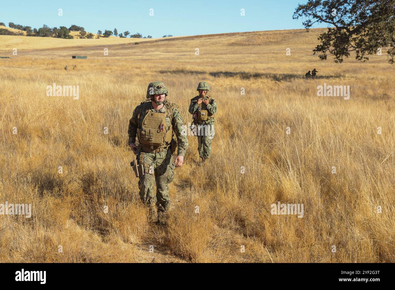 Krankenhauskommandant 2. Klasse Jesse Turner (links) und Krankenhauskommandant 2. Klasse Magaly Ramirez, die dem Naval Mobile Construction Battalion (NMCB) 4 zugewiesen sind, bewegen sich zwischen Verteidigungspositionen, um nach einer Patrouille nach Verletzungen zu suchen, um einen neuen Lagerplatz während eines Feldtrainings in ft zu sichern und zu verteidigen. Hunter Liggett am 29. Oktober 2024. Der NMCB 4 führt einen robusten Plan für die Ausbildung von Baufähigkeiten durch, um sich auf eine dynamische Mission im gesamten Indopazifik vorzubereiten, die die strategischen Ziele des Combatant Commander unterstützt. (Foto der U.S. Navy von Mass Communication Specialist 1st Class Dakota Rayburn) Stockfoto
