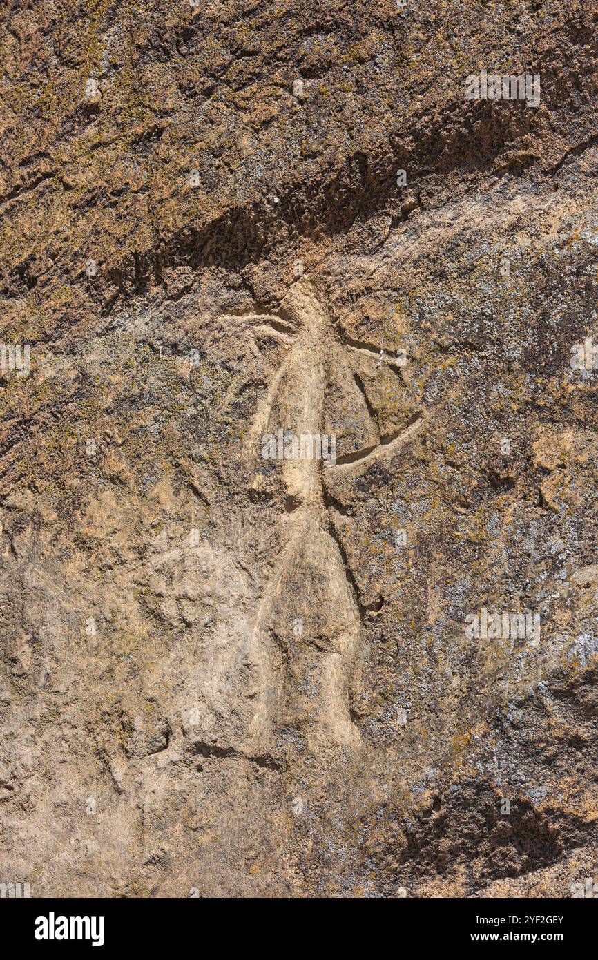 Eine Petroglyphen, die einen Jäger (5.000–000 Jahre alt) im staatlichen Historischen und Kulturreservat Gobustan in Aserbaidschan darstellt Stockfoto