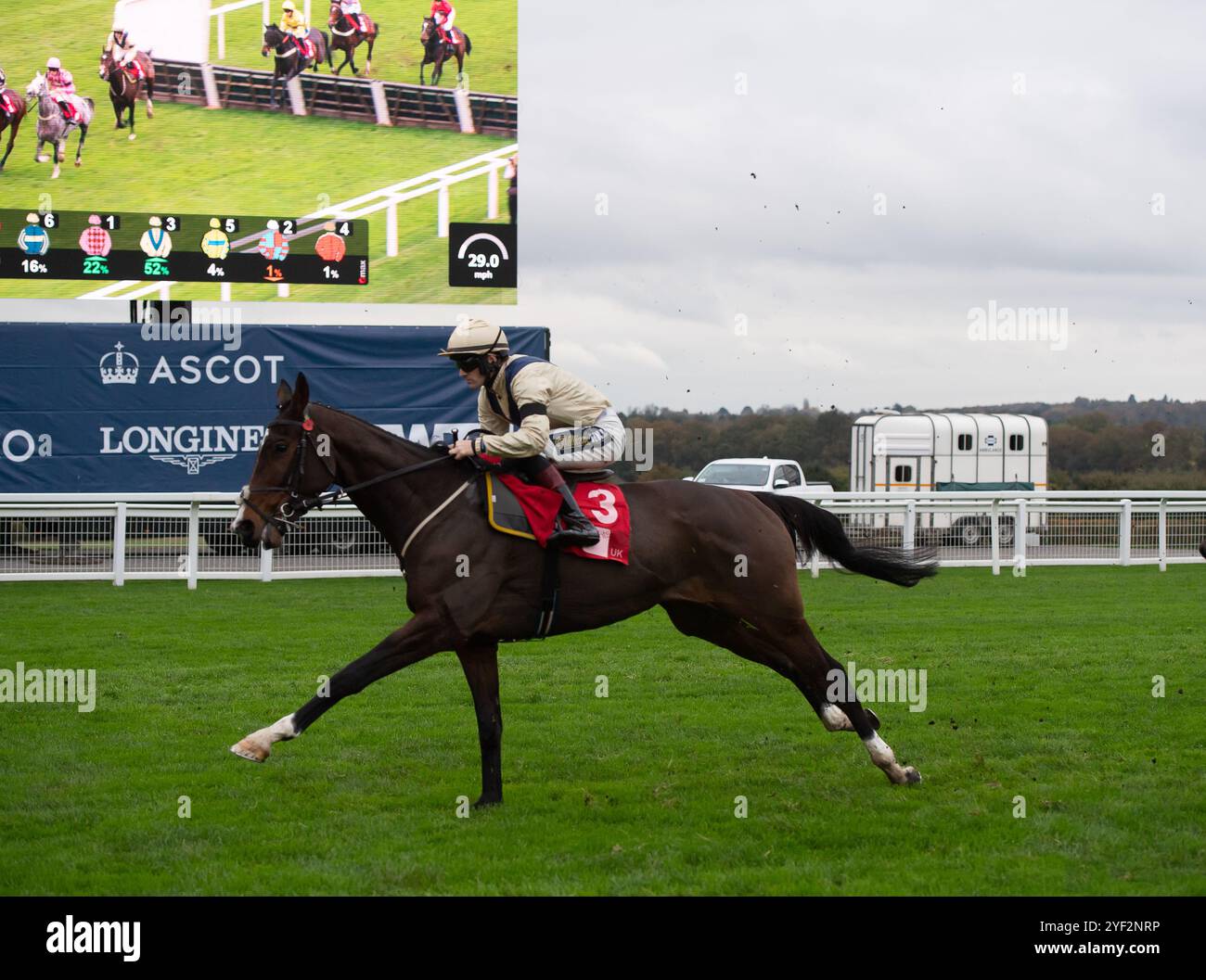 Ascot, Berkshire, Großbritannien. November 2024. CLAP OF THUNDER wurde von Sam Twiston-Davies auf der ersten Meile gefahren, bevor er das Hürdenrennen der GL-Events (Klasse 3) (GBB Race) beim Fireworks Spectacular Family Raceday auf der Ascot Racecourse in Berkshire gewann. Besitzer Dash Grange Stud, Trainer Nigel Twiston-Davies, Cheltenham, Züchter Coolmara Stables Ltd Quelle: Maureen McLean/Alamy Live News Stockfoto