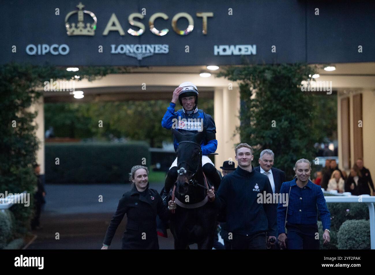 Ascot, Berkshire, Großbritannien. November 2024. KAJIKIA, geritten von Jockey Jay Tidball, gewinnt das Ascot Round Table Open National Hunt Flat Race (Klasse 2) (Kategorie 1 Elimination) (GBB Race) beim Fireworks Spectacular Family Raceday auf der Ascot Racecourse, Berkshire. Besitzer Der Brooks & Stewart Familien, Trainer Paul Nicholls, Ditcheat, Züchter Francis Matzinger & Charlotte Thomesse, Sponsor Morson Group. Quelle: Maureen McLean/Alamy Live News Stockfoto