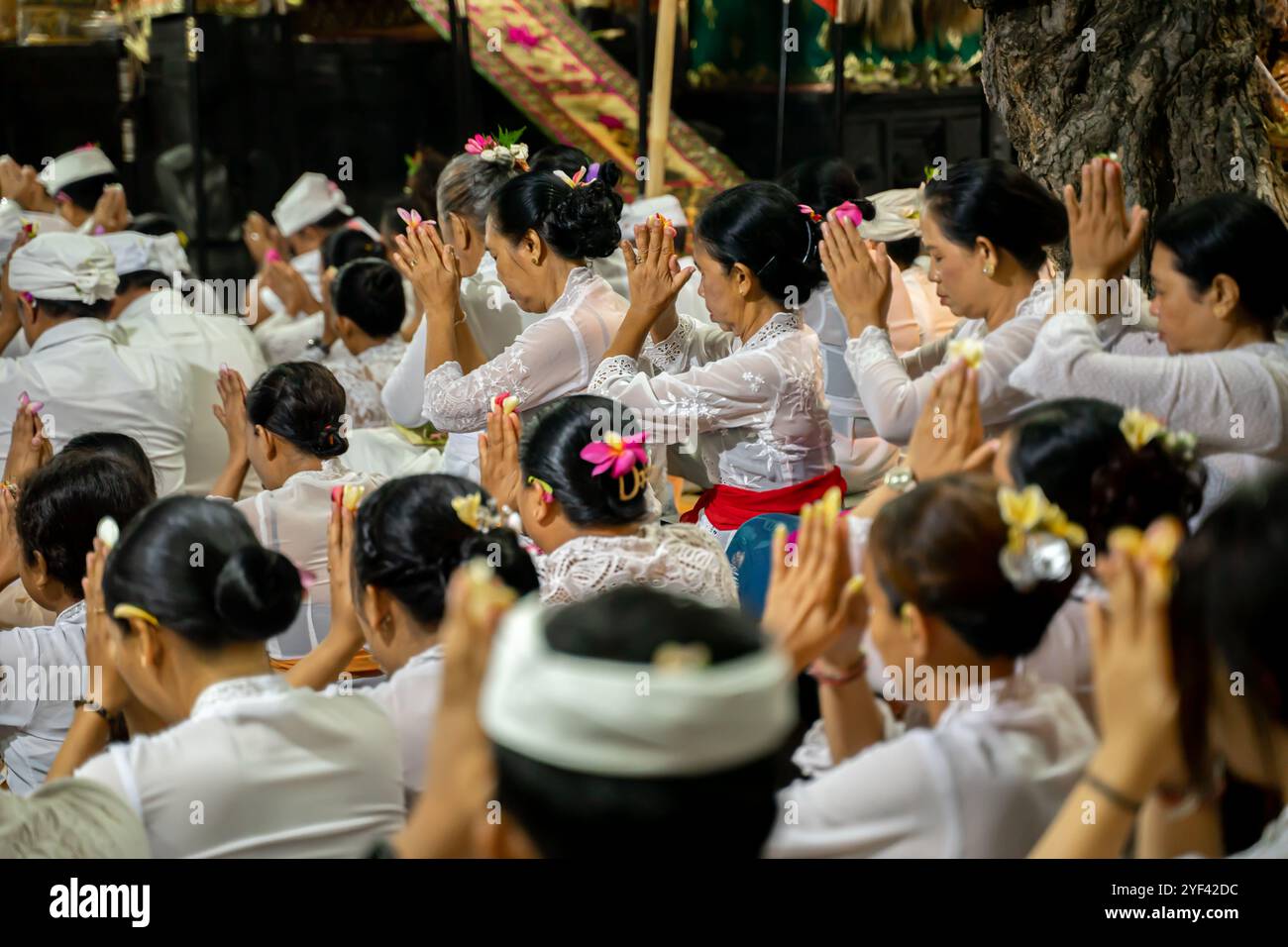 Gruppe balinesischer Frauen betet bei Kuningan-Zeremonie, Pura Gunung Sari Tempel, Denpasar, Bali, Indonesien, Asien Stockfoto