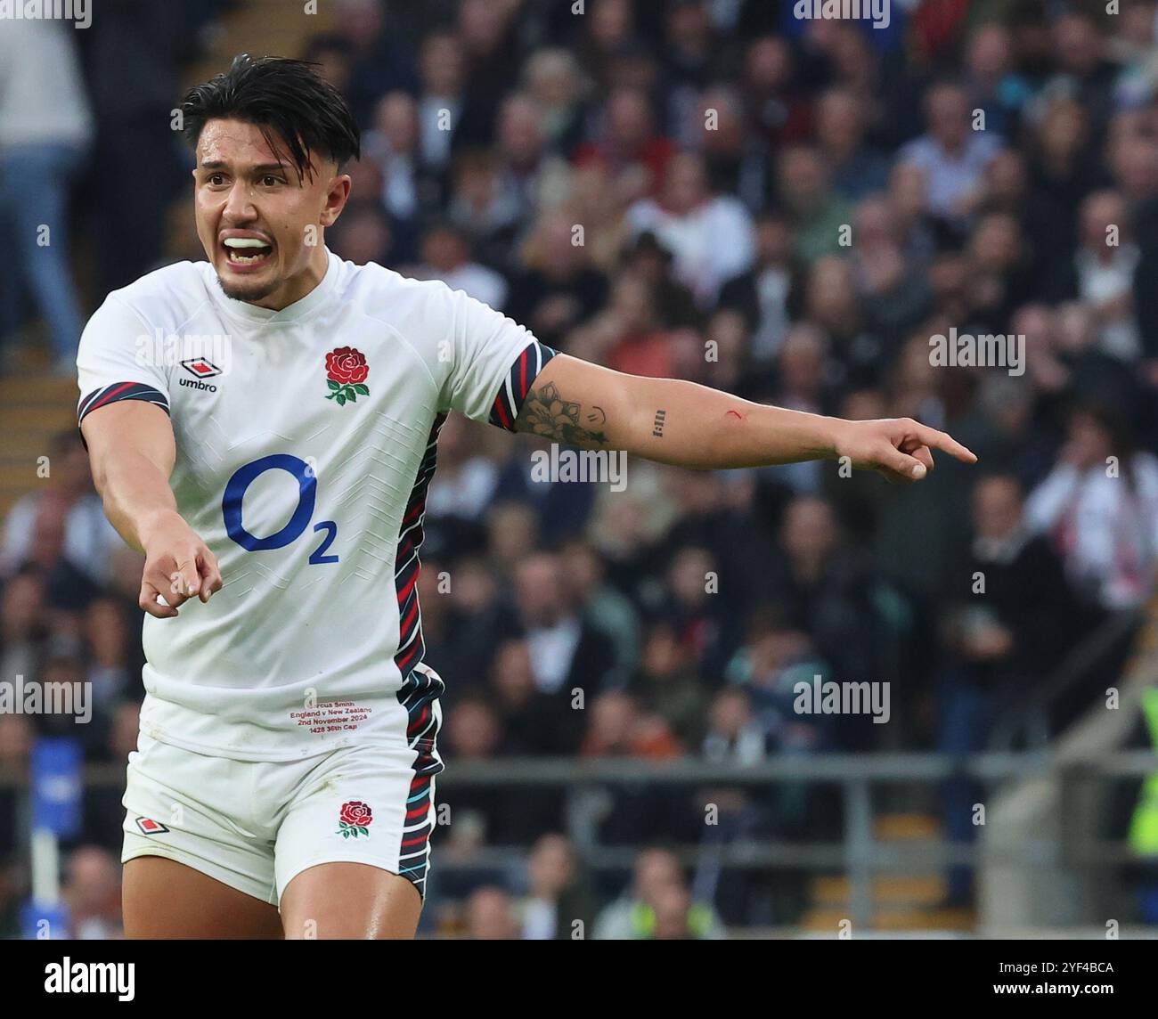 London, Großbritannien. November 2024. Englands Marcus Smith (Harlequins) während des Autumn Nations Series International Rugby zwischen England und Neuseeland im Allianz-Stadion in Twickenham, London am 2. November 2024 Credit: Action Foto Sport/Alamy Live News Stockfoto