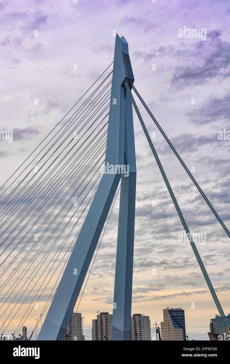 Bauingenieurwesen in den Niederlanden: Grand Pylon der spektakulären Erasmus-Brücke in Rotterdam Stockfoto