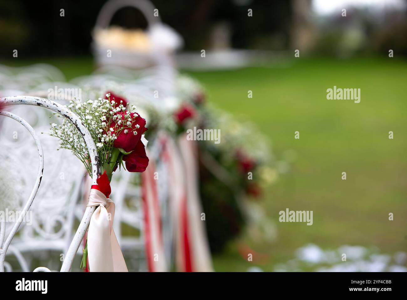 Rote Rosen und der Atem des Babys zieren weiße Hochzeitsstühle und verleihen einer Zeremonie im Freien einen Hauch von Eleganz Stockfoto