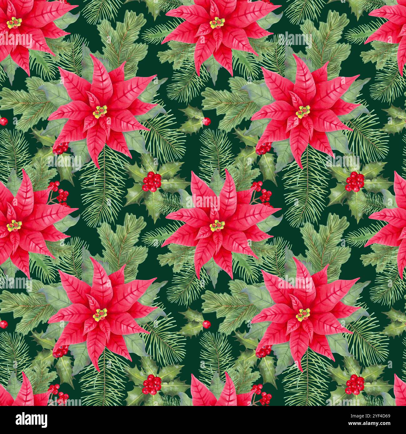 Weihnachtsstern, Kiefernzweige und stechpalmenbeeren zu Weihnachten. Nahtloses Muster. Aquarell- und Markierungsabbildung. Handgezeichnete isolierte Kunst. Botan Stockfoto