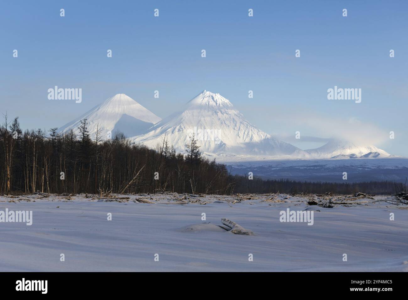 Wunderschöne Berglandschaft Kamtschatka: Klyuchevskoy Vulkan (Klyuchevskaya Sopka), Kamen Vulkan und Bezymianny Vulkan. Russland, Fernost, Kamtschatka Stockfoto