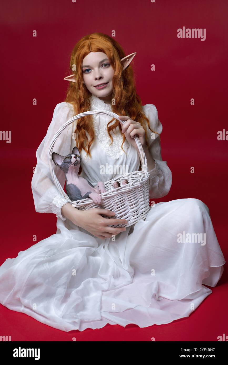 Elfencosplay junge Frau mit langen roten Haaren sitzt auf rotem Hintergrund mit weißem Korb auf ihrem Schoß. Da ist lustiges Sphinx-Kätzchen im Korb. Elf in Stockfoto