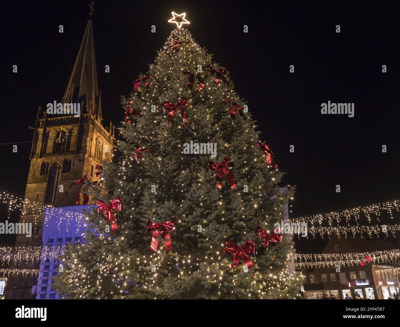 Großer Weihnachtsbaum mit roten Bögen und Feenlichtern vor der Kirche, ahaus, münsterland, deutschland Stockfoto