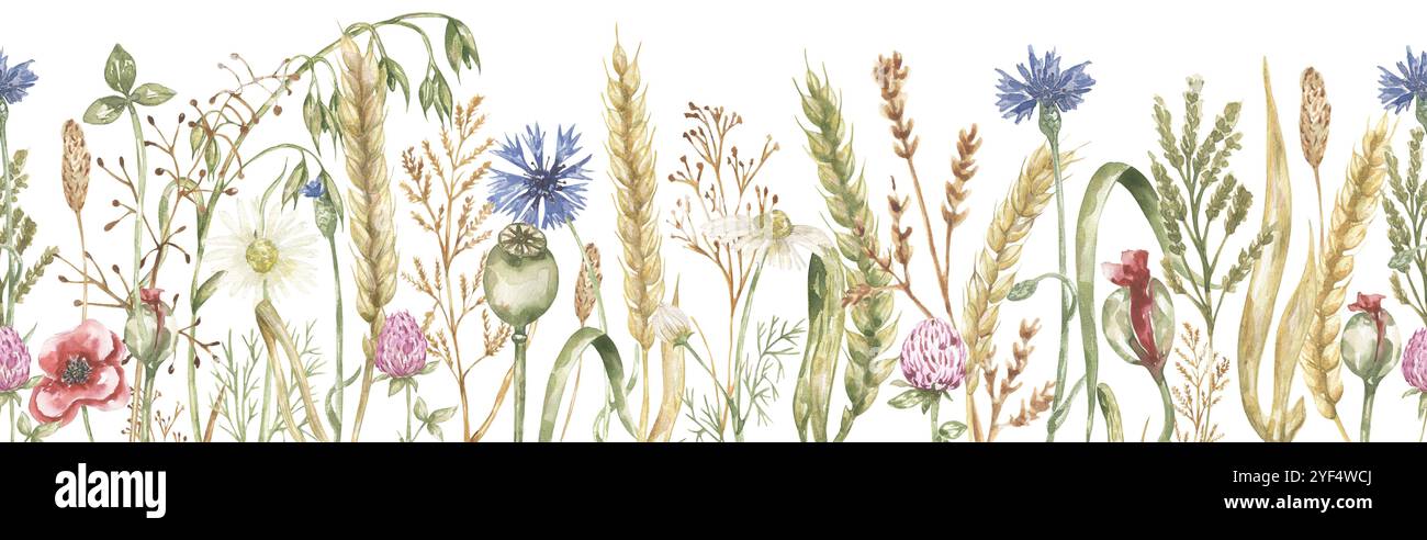 Aquarell zarte Wiesenblüten und Feld Pflanze nahtlose Grenze Illustration, Hand gezeichnete Wildblumen wiederholen Muster Stockfoto
