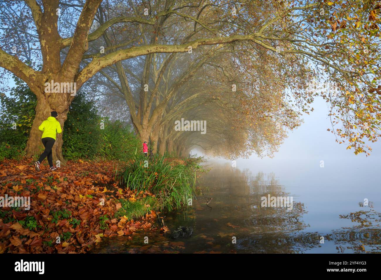 Essen, Nordrhein-Westfalen, Deutschland - Goldener Herbst am Baldeney-See. Radfahrer und Jogger im Morgennebel auf dem Seeweg unter dem Flugzeug Stockfoto