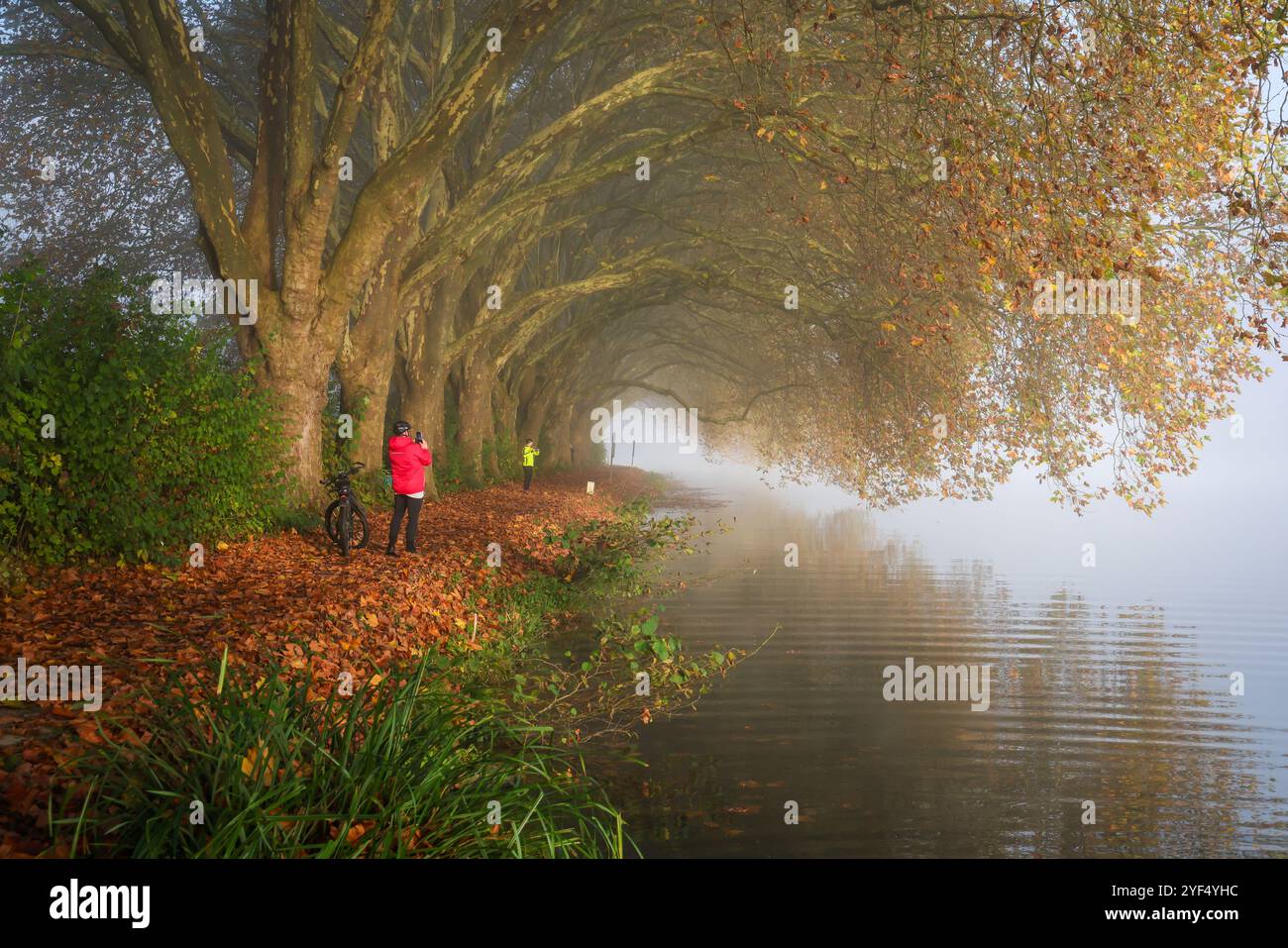 Essen, Nordrhein-Westfalen, Deutschland - Goldener Herbst am Baldeney-See. Radfahrer und Jogger im Morgennebel auf dem Seeweg unter dem Flugzeug Stockfoto