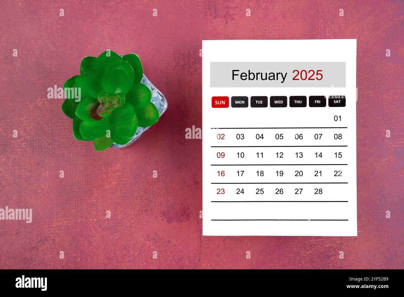 Kalenderseite für Februar 2025 und Zimmerpflanze zum Retro-Hintergrund, Planungskonzept. Stockfoto