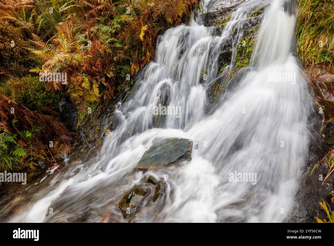 Wasser fließt im Fluss, Carding Mill Valley, Shropshire, England, Großbritannien Stockfoto