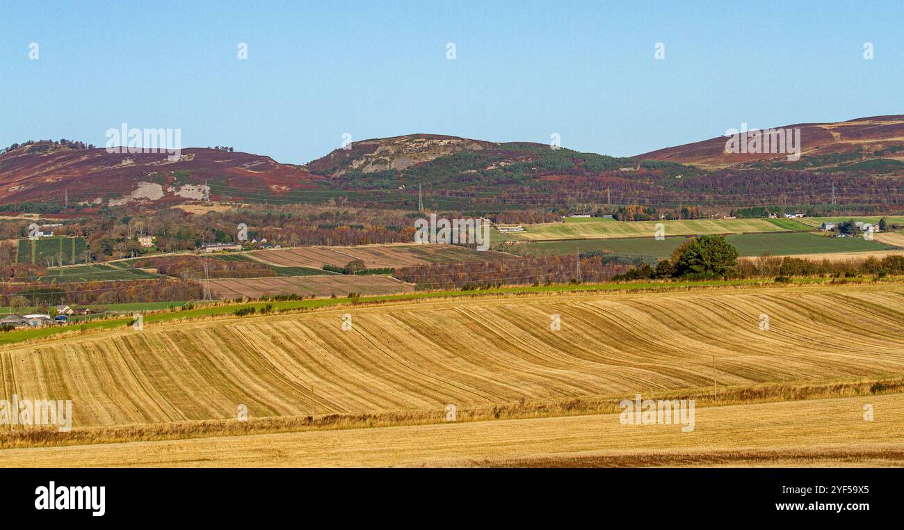 Dundee, Tayside, Schottland, Großbritannien. November 2024. UK Wetter: Das schöne warme und sonnige Herbstwetter bietet einen wunderbaren Blick auf das schottische Farmland und die Landschaft des Dundee Strathmore Valley und die Sidlaw Hills in Schottland. Quelle: Dundee Photographics/Alamy Live News Stockfoto