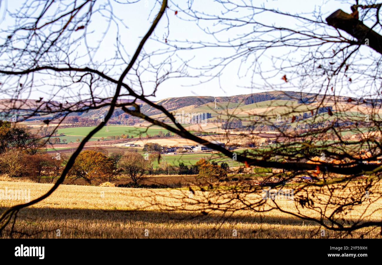 Dundee, Tayside, Schottland, Großbritannien. November 2024. UK Wetter: Das schöne warme und sonnige Herbstwetter bietet einen wunderbaren Blick auf das schottische Farmland und die Landschaft des Dundee Strathmore Valley und die Sidlaw Hills in Schottland. Quelle: Dundee Photographics/Alamy Live News Stockfoto