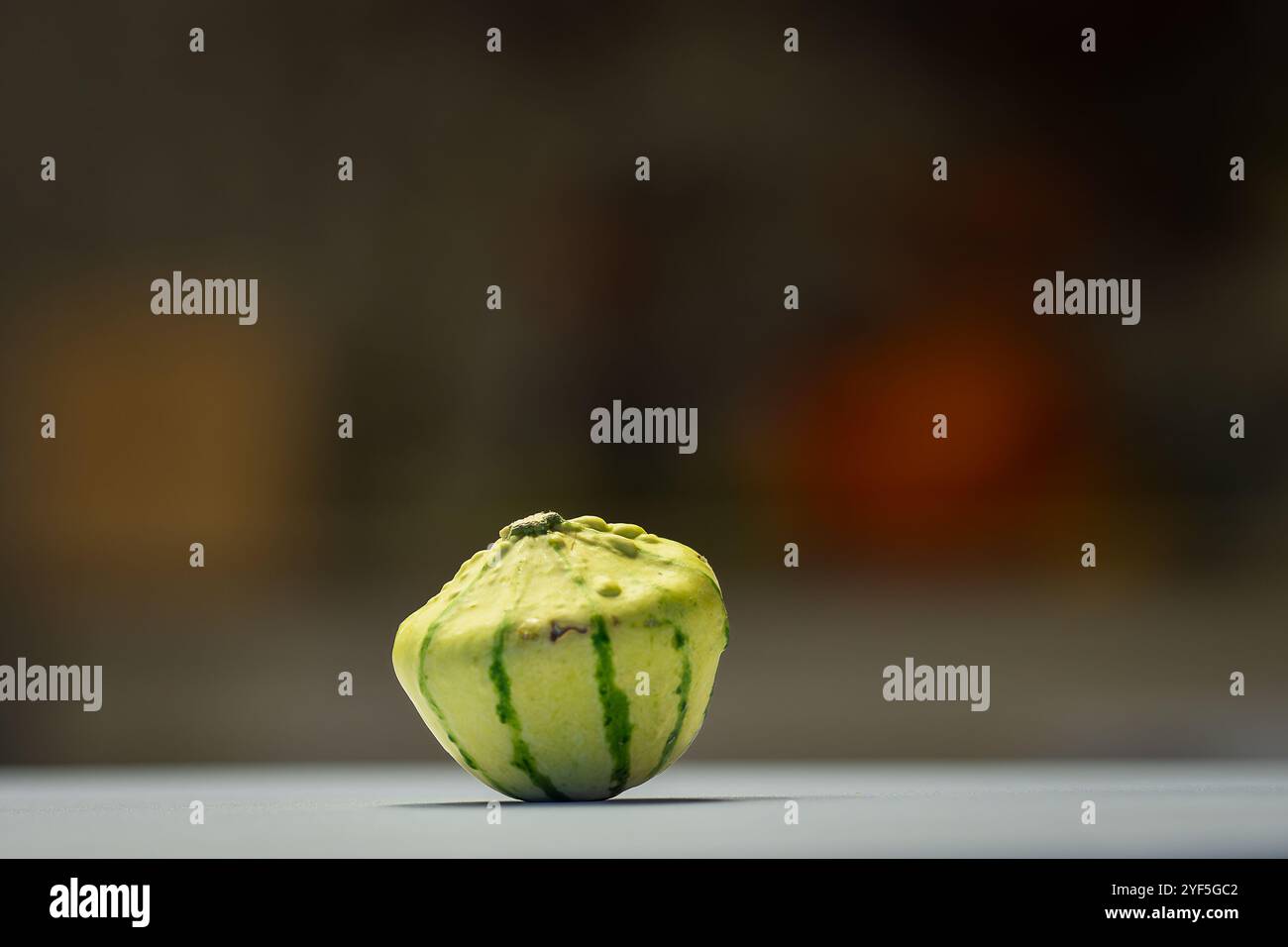 Einzelner Zierkürbis. Dekorativer grüner und gelber Kürbis. Das scheint wie ein traditioneller Kürbis zu sein, hat aber ein paar zusätzliche Beulen, Farben und seltsame Formen. Stockfoto