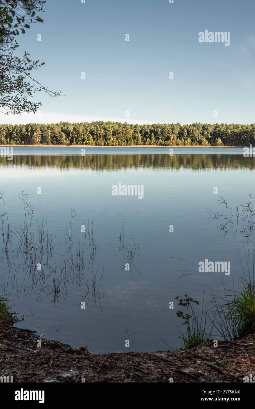 Kleiner Waldsee 'Ummis' in Lilaste, Lettland am sonnigen Herbsttag Stockfoto