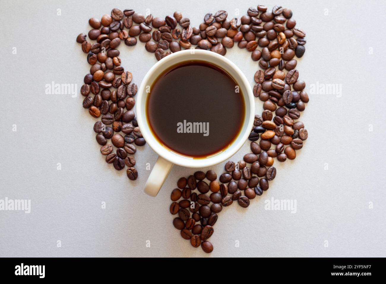 Darmform aus Kaffeebohnen mit Tasse Kaffee, Einfluss von Kaffee auf die Darmgesundheit, kreatives Konzept Stockfoto
