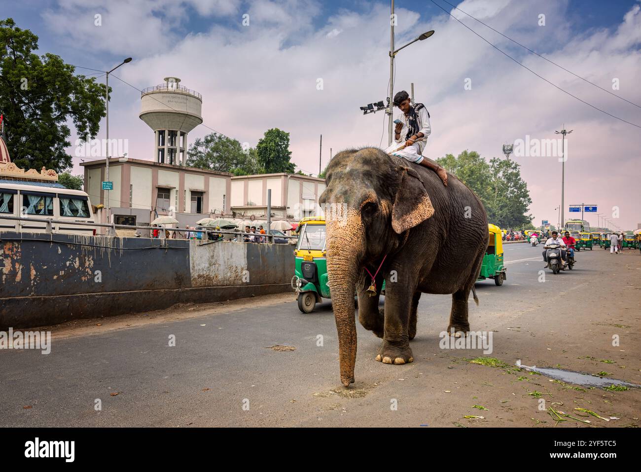 Elefant ist die Straßen von Ahmedabad, Gujarat, Indien Stockfoto