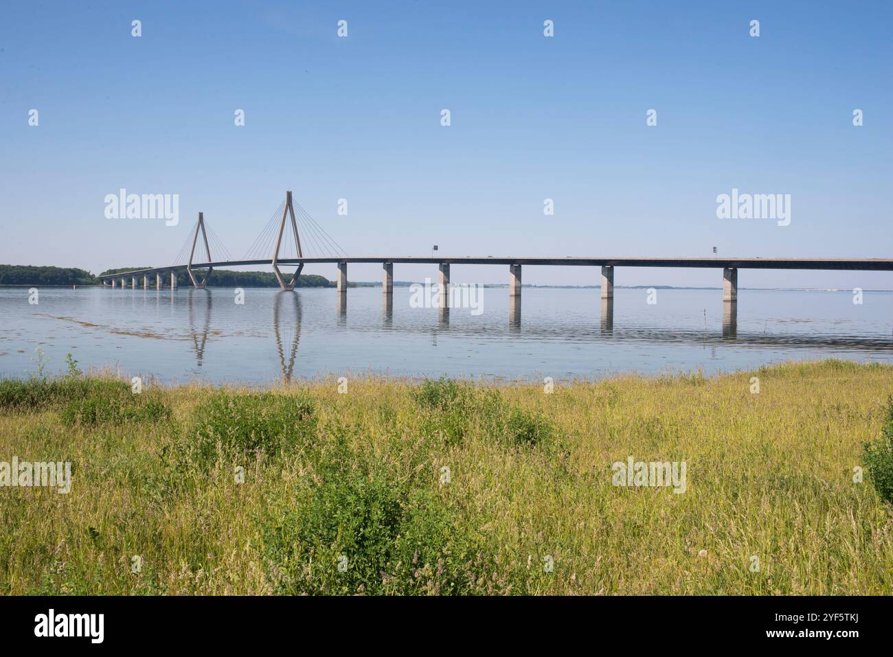Blick auf die Farøbroen-Brücke, ein atemberaubendes Ingenieurwunder, das Neuseeland und Falster in Dänemark verbindet. Aufgenommen an einem wolkenlosen Sommertag ab Stockfoto