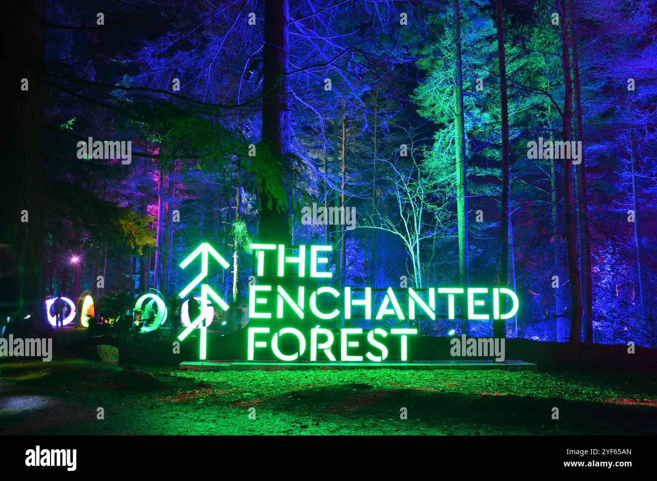 Einige der speziellen Lichteffekte beim Enchanted Forest Event 2024 in Pitlochry, Schottland, Großbritannien. Stockfoto