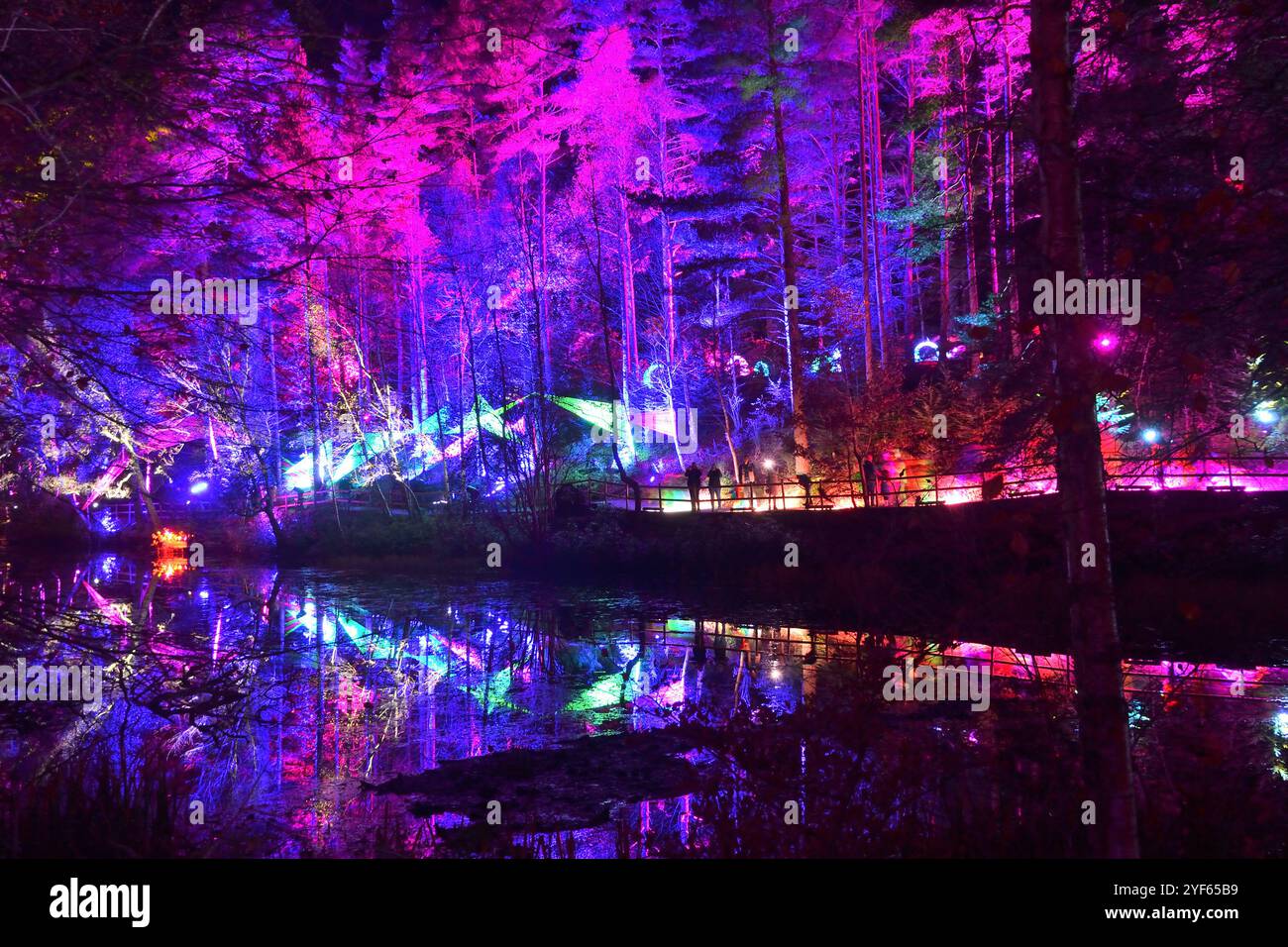 Einige der speziellen Lichteffekte beim Enchanted Forest Event 2024 in Pitlochry, Schottland, Großbritannien. Stockfoto