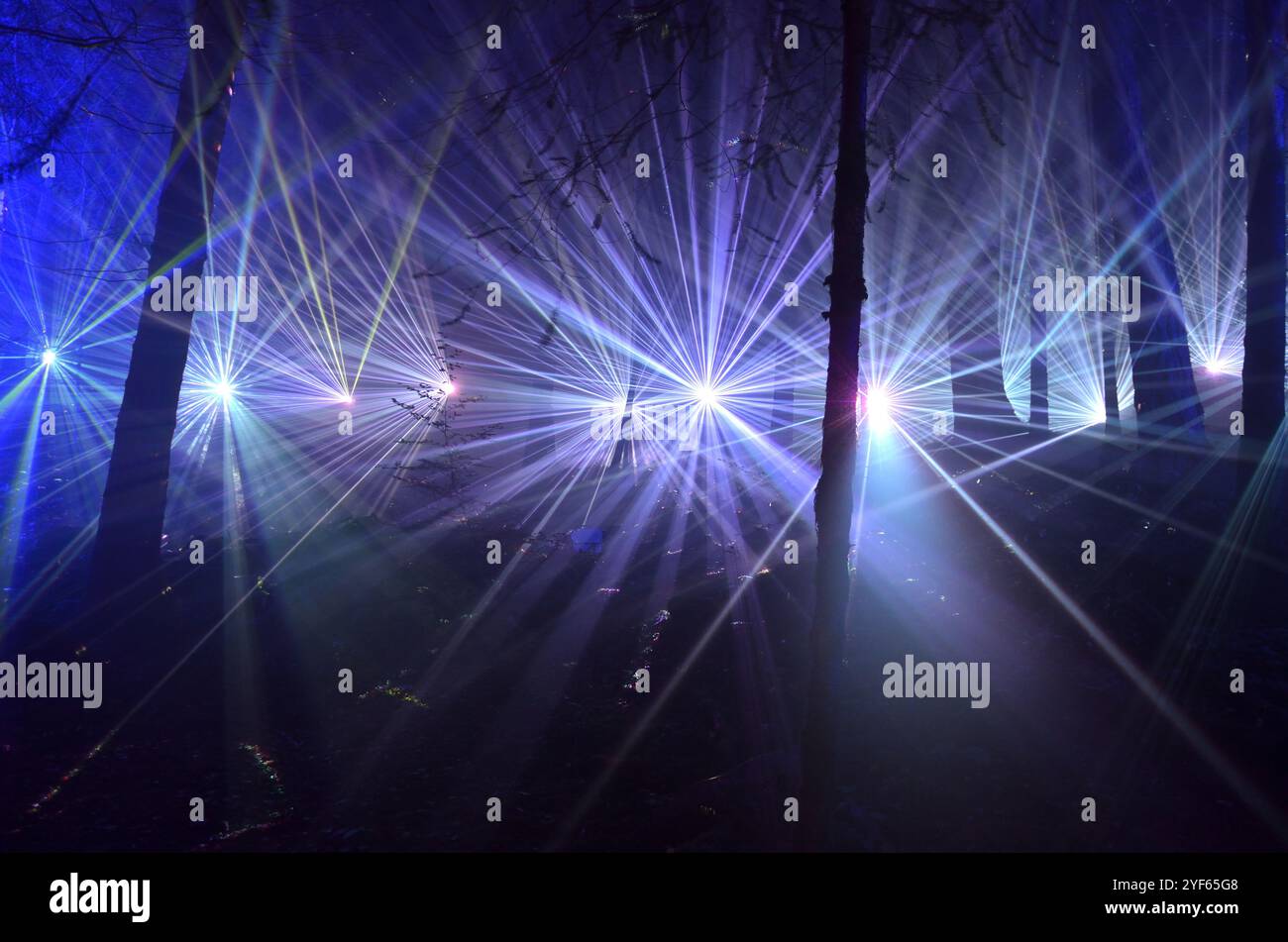 Einige der speziellen Lichteffekte beim Enchanted Forest Event 2024 in Pitlochry, Schottland, Großbritannien. Stockfoto