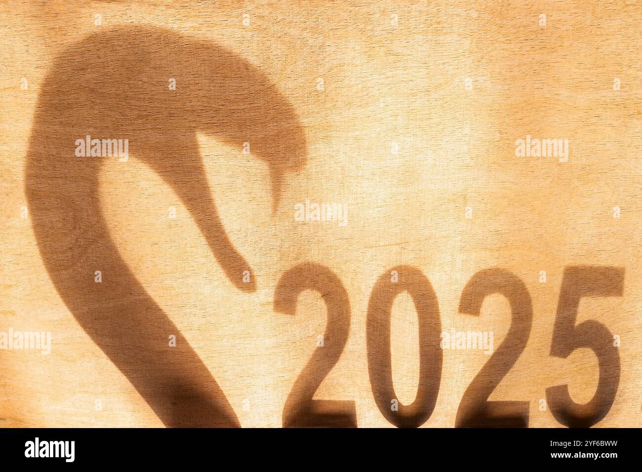 Holzschlange Jahr 2025 Stockfoto