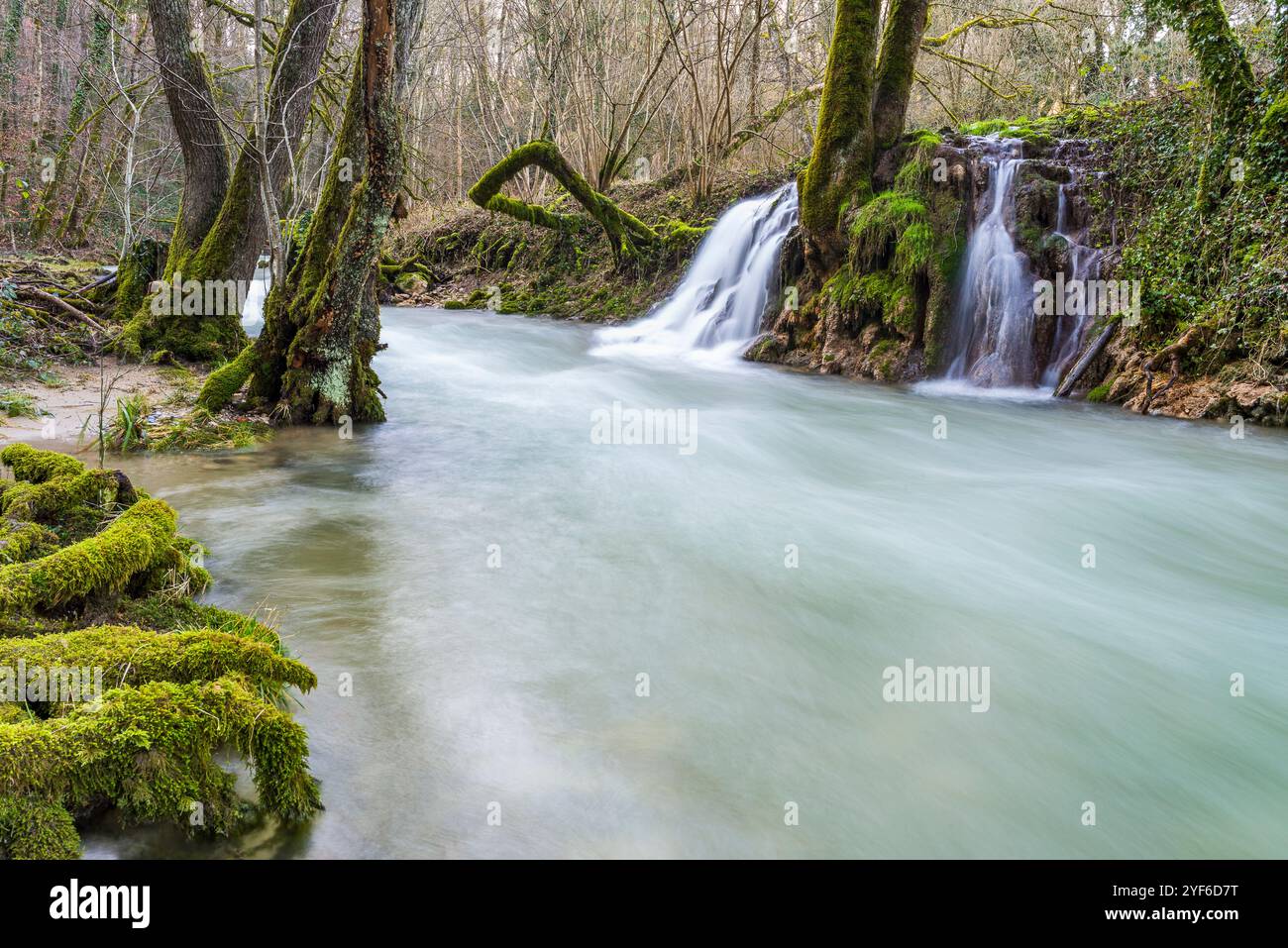 Die Flüsse La Venoge und Veyron, Waadt, Schweiz Stockfoto