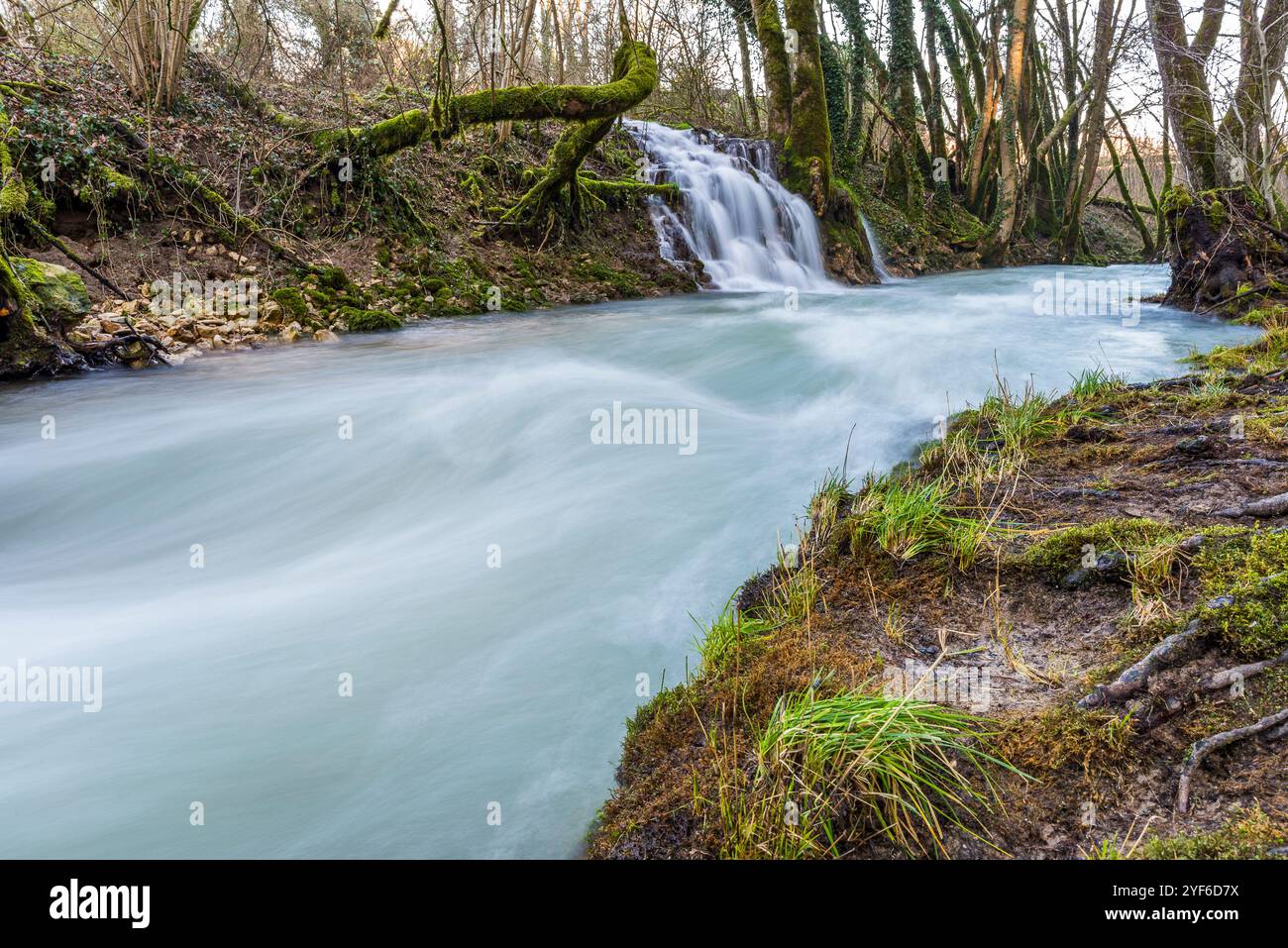 Die Flüsse La Venoge und Veyron, Waadt, Schweiz Stockfoto