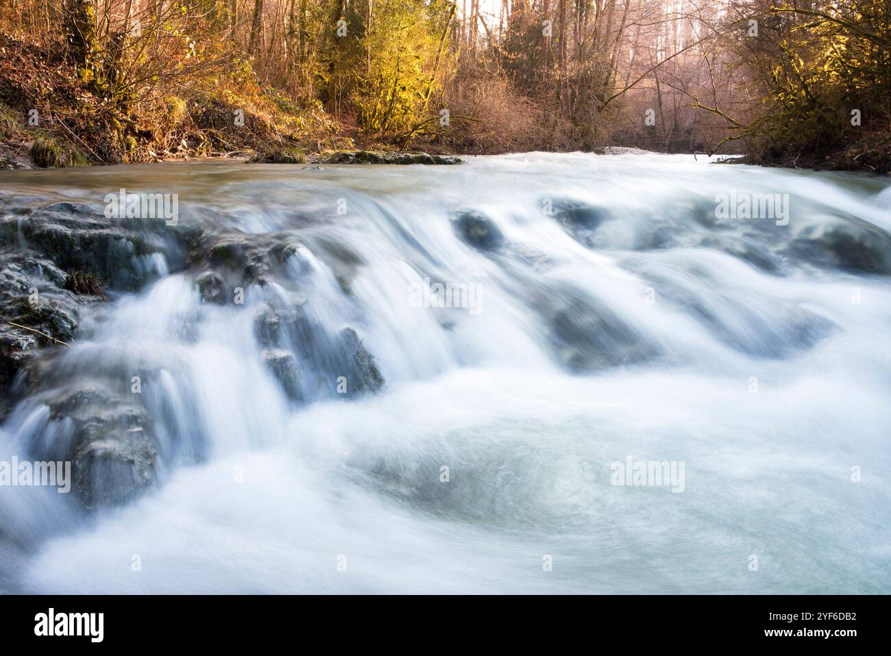 Der Fluss Veyron, ein Nebenfluss der Venoge, Waadt, Schweiz Stockfoto