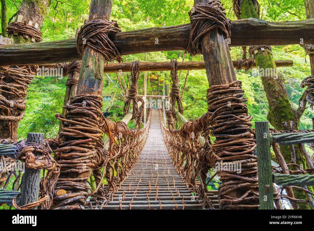 Iya-Tal, Tokushima, Japan an der Kazurabashi-Brücke. Obwohl die Brücke regelmäßig wieder aufgebaut wurde, reicht die Geschichte der Brücke auf mehr als 800 Jahre zurück. Stockfoto