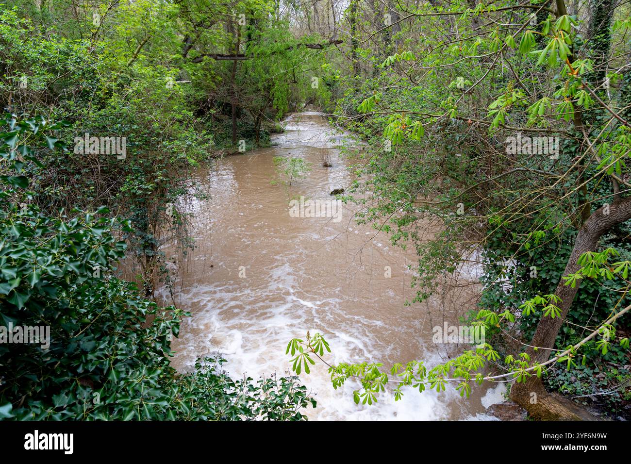 Üppiges Grün umgibt kaskadierende Wasserfälle im historischen Monasterio de Piedra Park, der Ruhe und natürliche Schönheit ausstrahlt. Stockfoto
