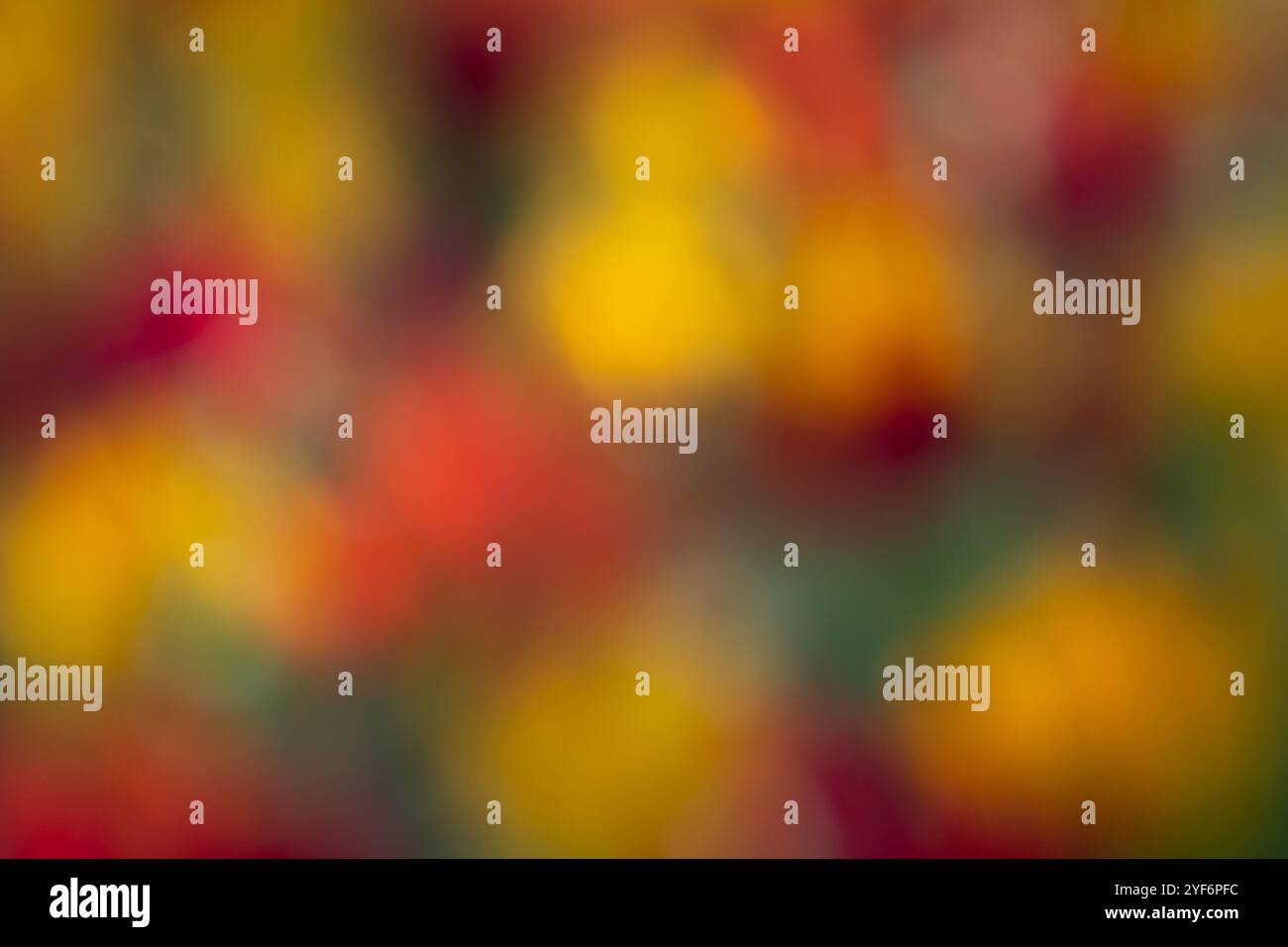 Eine Ansicht eines abstrakten, unscharfen Bildes mit warmen Farben als Hintergrund. Stockfoto