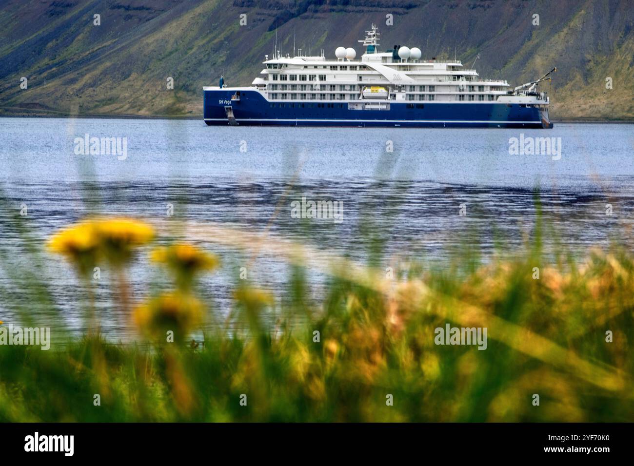 Die SH Vega Cruise ist ein Expeditionsschiff, das von Swan Hellenic betrieben wird, in der Nähe des Dynjandi Wasserfalls an den Westfjorden Islands. SH Vega ist unsere Marke Stockfoto