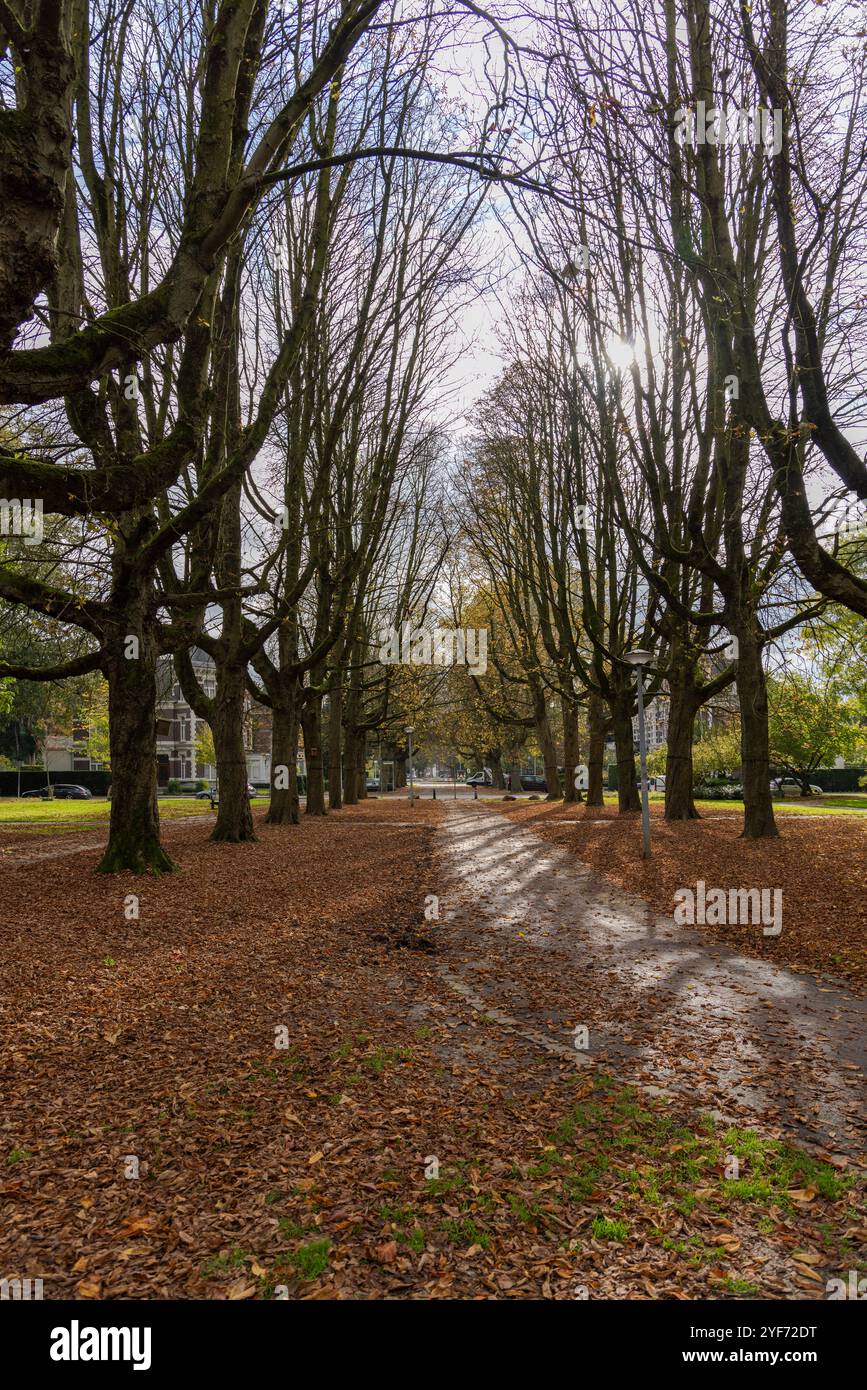 Ein ruhiger Ort in einem Stadtpark in Roermond, Niederlande Stockfoto