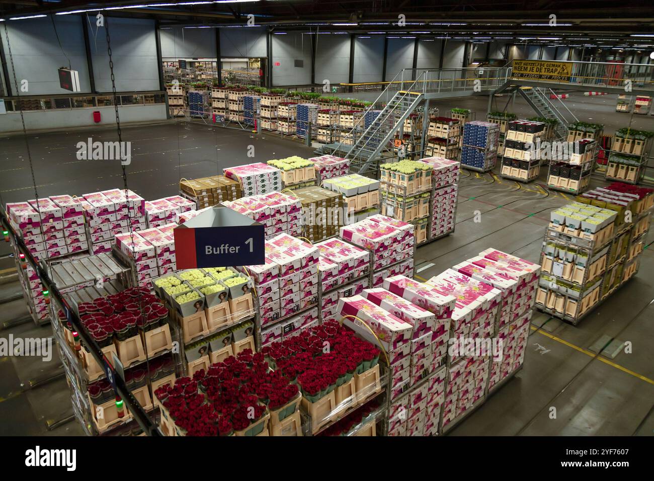 Karren mit Blumen bei der größten Blumenauktion der Welt, FloraHolland, in der niederländischen Stadt Aalsmeer. Stockfoto