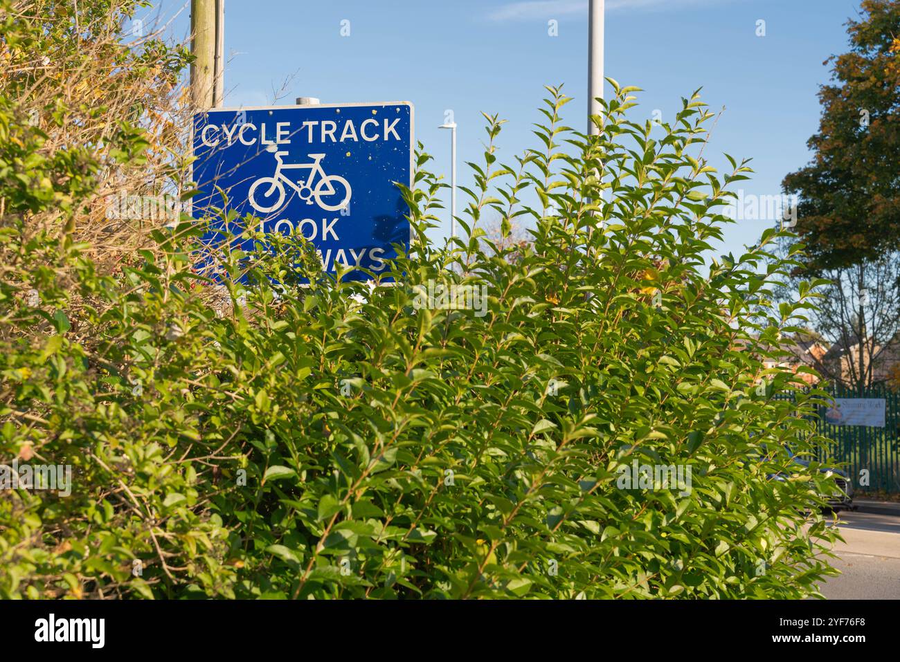 Bewachsener Radweg, Radweg, Blick in beide Richtungen, Hecken, Hindernis, private Hecke, blaues Fahrradschild, Vegetation, Gras, Hecken, Bäume, zwei Räder. Stockfoto