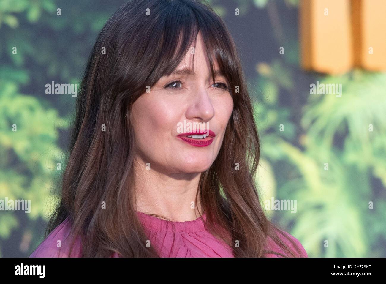 London, Großbritannien. November 2024. Im Bild: Emily Mortimer nimmt an der Weltpremiere von „Paddington in Peru“ im Odeon Luxe am Leicester Square Teil. Quelle: Justin Ng/Alamy Live News Stockfoto