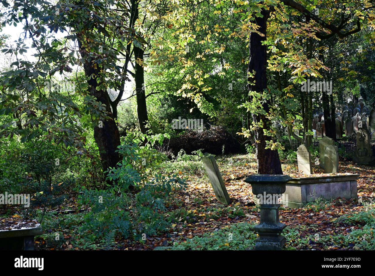Herbstfarben im Haworth Pfarrhof, West Yorkshire Stockfoto