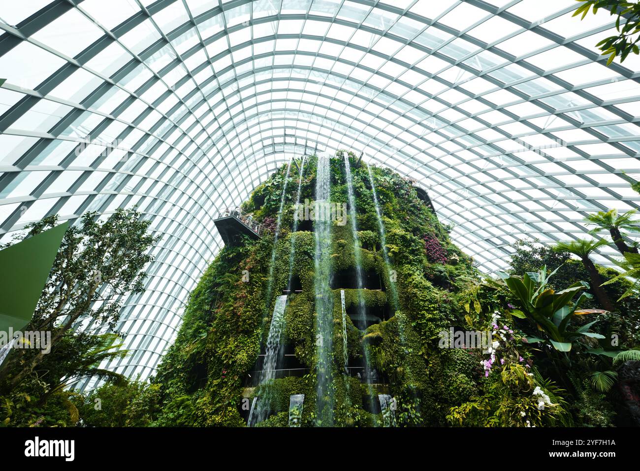 Singapur - 18. August 2024: Cloud Forest and Flower Dome Gewächshäuser in Gardens by the Bay Stockfoto
