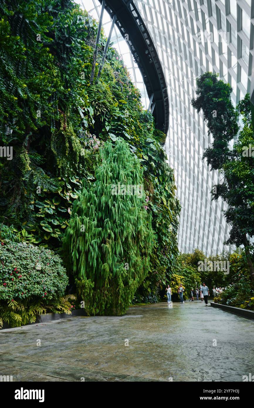 Singapur - 18. August 2024: Cloud Forest and Flower Dome Gewächshäuser in Gardens by the Bay Stockfoto