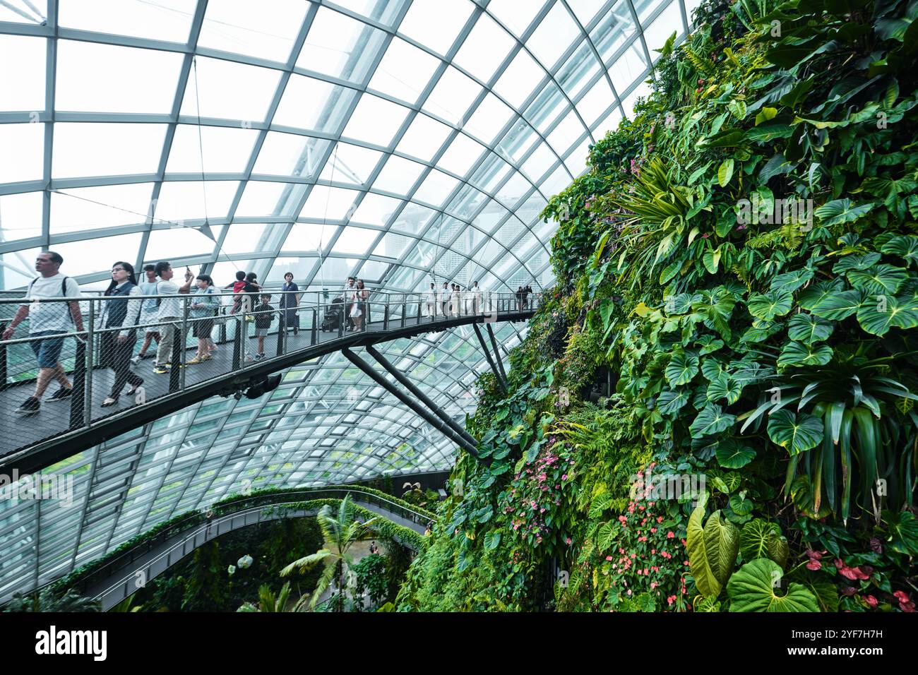 Singapur - 18. August 2024: Cloud Forest and Flower Dome Gewächshäuser in Gardens by the Bay Stockfoto