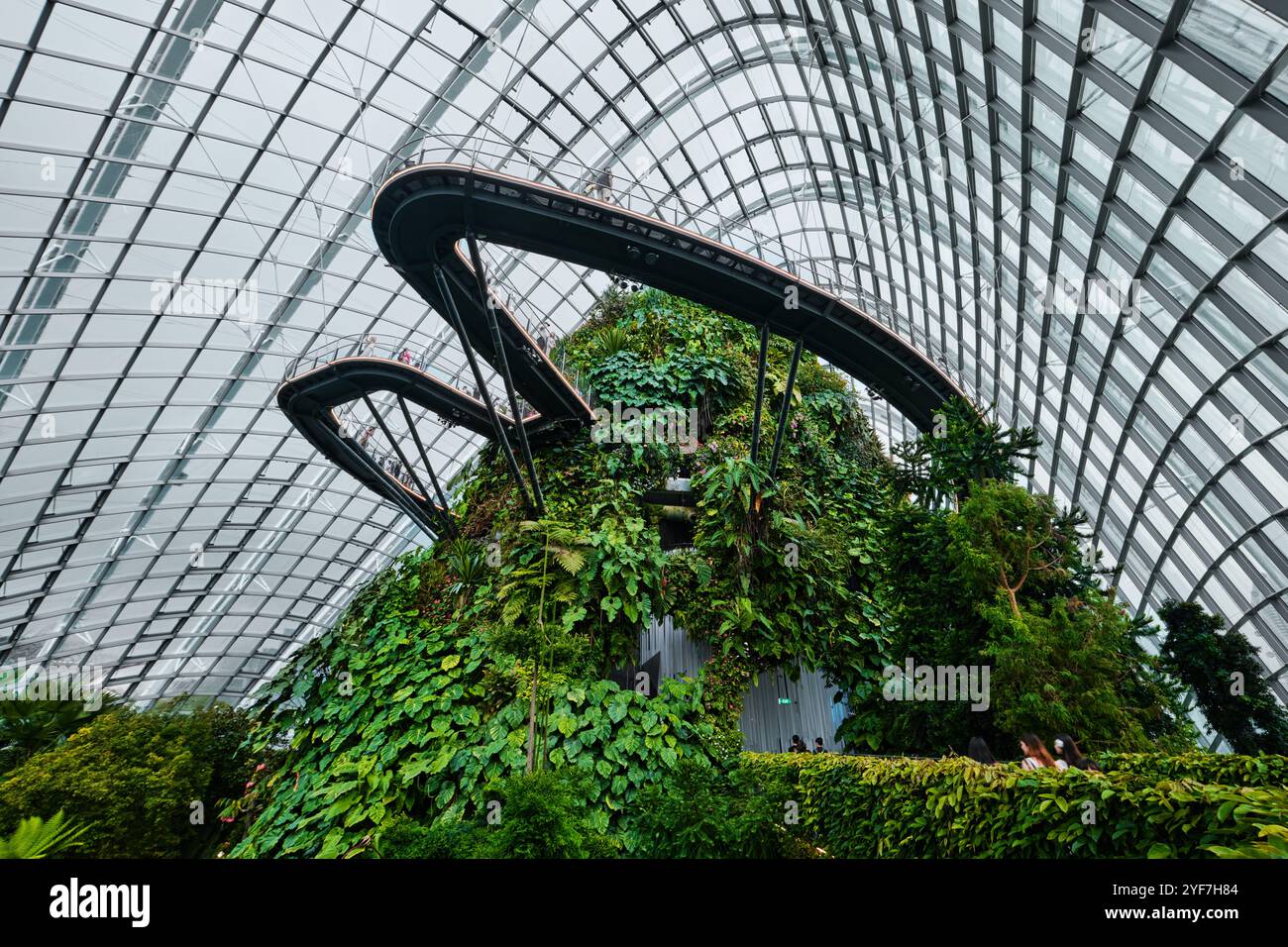 Singapur - 18. August 2024: Cloud Forest and Flower Dome Gewächshäuser in Gardens by the Bay Stockfoto