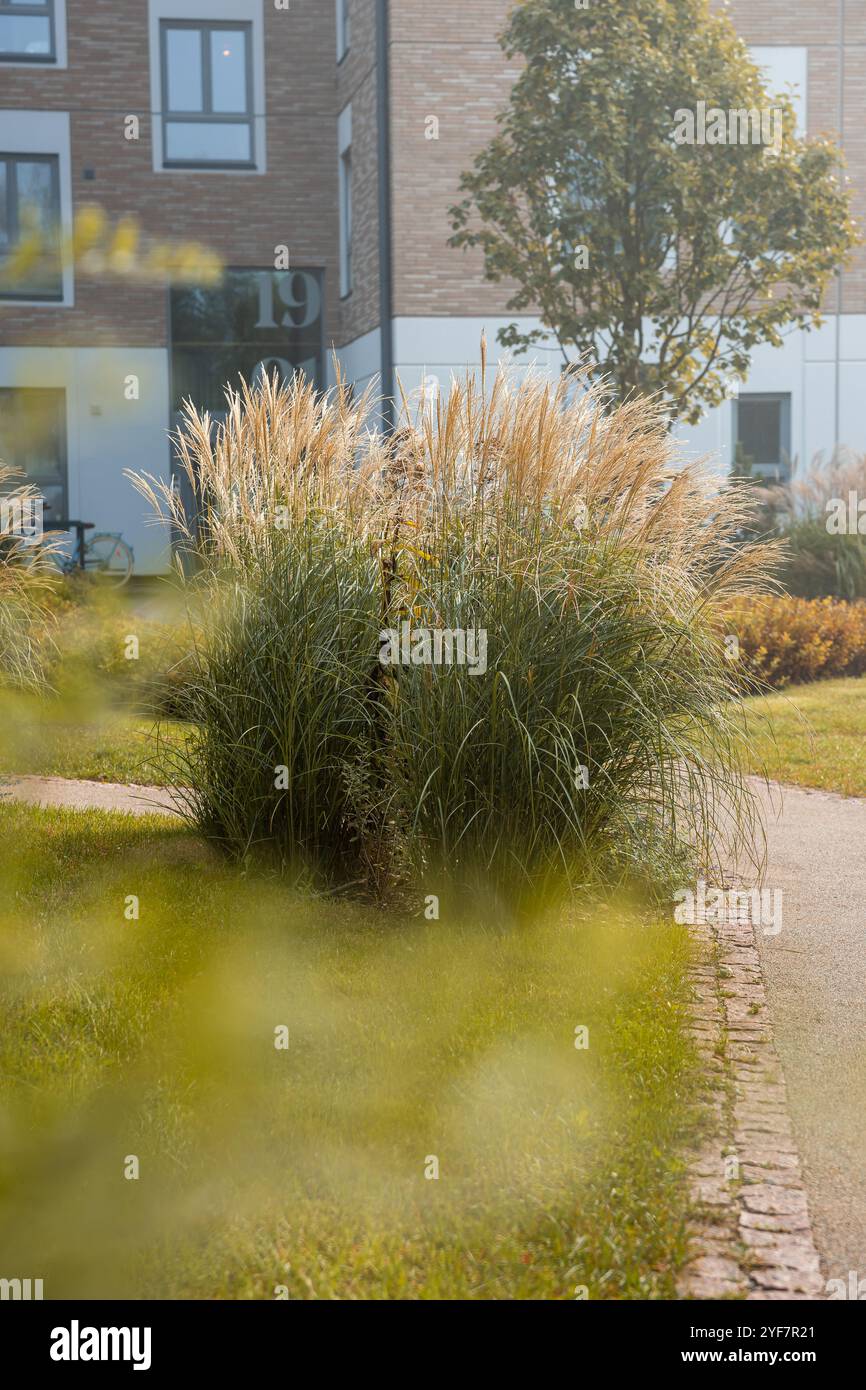 Ein gut gepflegter Garten mit Zierkästen und einem Baum in der Nähe eines modernen Backsteingebäudes, das 19 markiert ist. Gepflasterte Wege und getrimmtes Gras machen die setti noch schöner Stockfoto