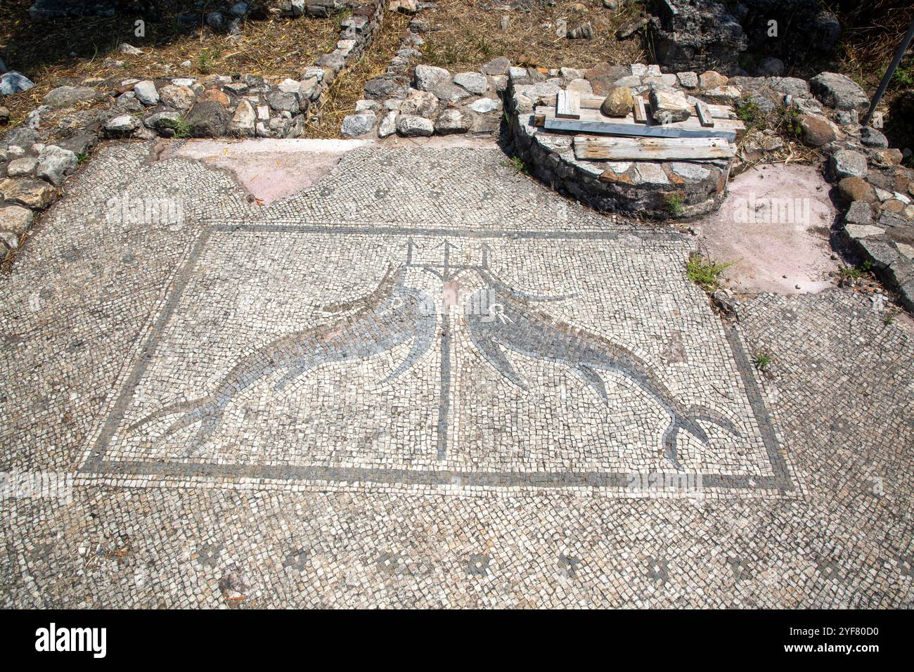 Insel Samos, Griechenland - 18. Juni 2023, Statue der Hera in Samos, Heraion Ancient City - Griechenland Stockfoto
