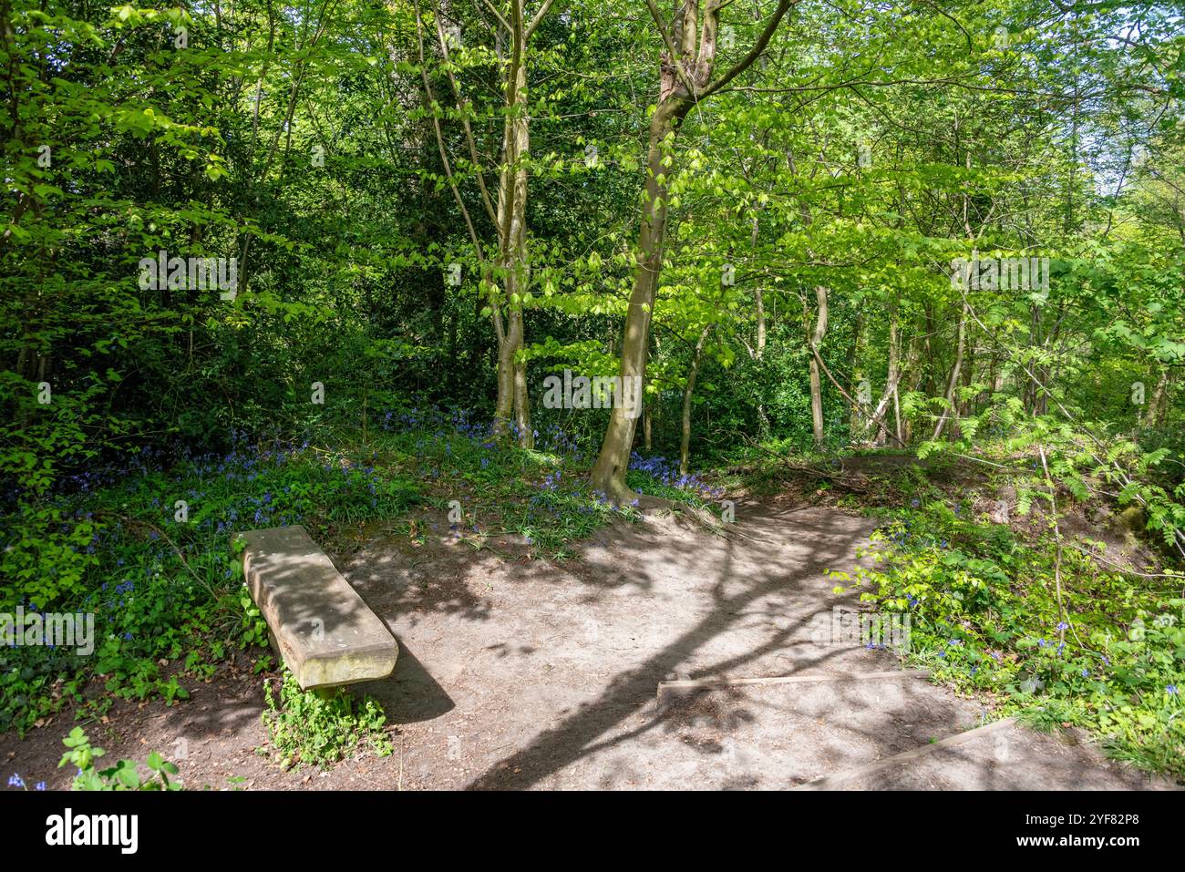 CS Lewis Nature Reserve, Headington, Oxford, Großbritannien. Es befindet sich direkt hinter seinem ehemaligen Haus, den Öfen, und soll eine Inspiration für Narnia sein. Stockfoto