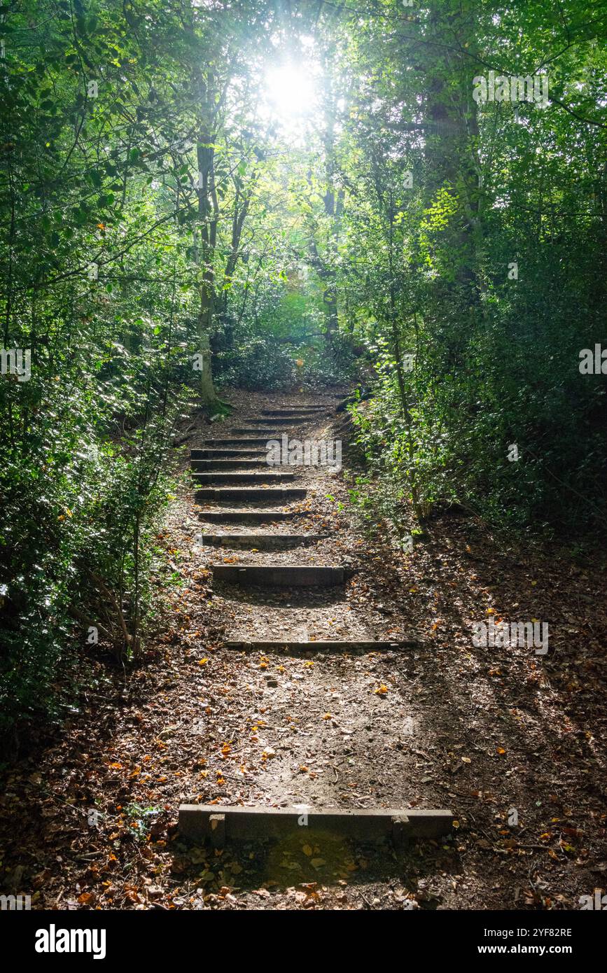 CS Lewis Nature Reserve, Headington, Oxford, Großbritannien. Es befindet sich direkt hinter seinem ehemaligen Haus, den Öfen, und soll eine Inspiration für Narnia sein. Stockfoto