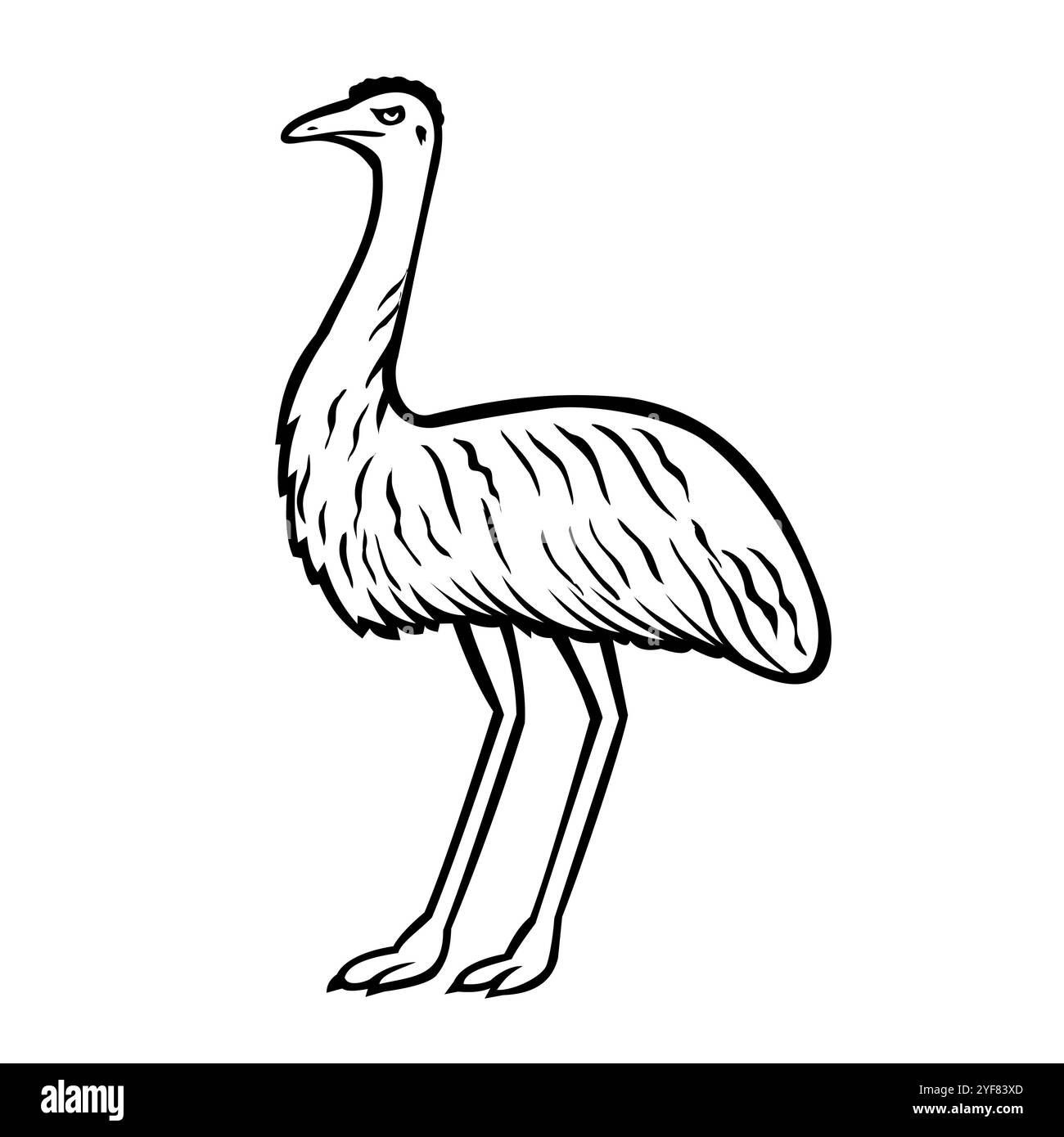 Retro-Illustration eines emu oder Dromaius novaehollandiae, eines großen, flugunfähigen Vogels, der in Australien endemisch ist und von der Seite auf isoliertem Ba gesehen wird Stock Vektor