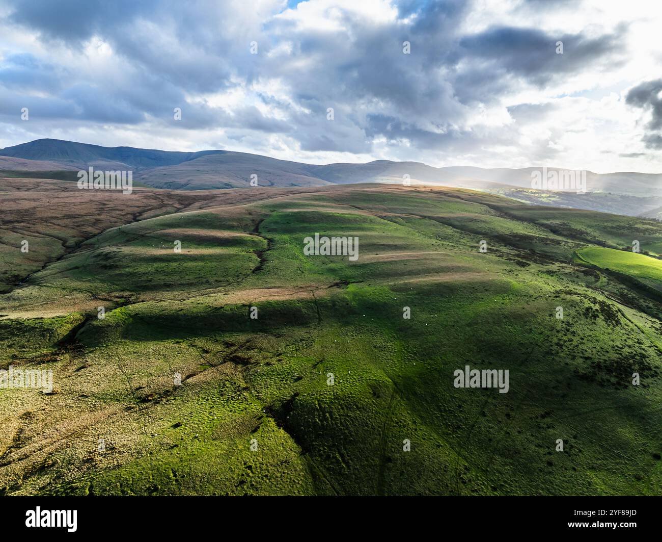 Farmen über Black Mountain von einer Drohne aus, Brecon Beacons National Park, Carmarthenshire, Wales, England Stockfoto